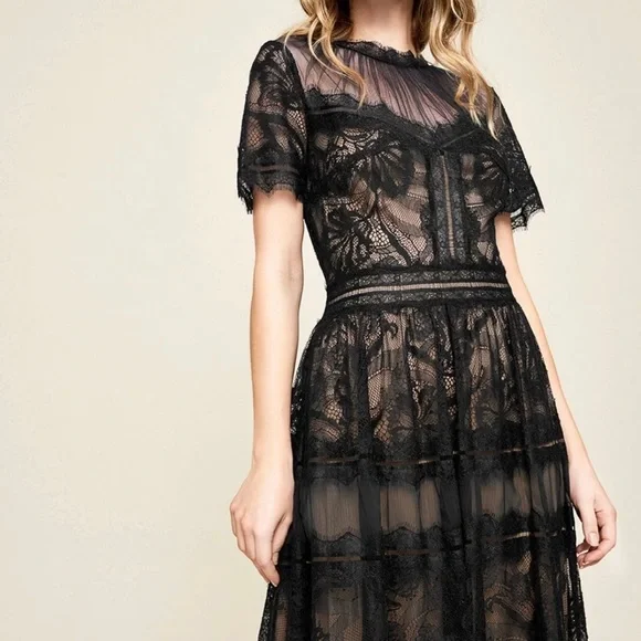 TADASHI SHOJI Camilla Lace Tea-Length Dress - Picture 4 of 7